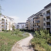Pfänder Fensterbau - Holzfenster